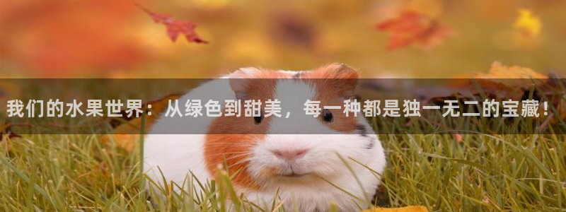 我们的水果世界:从绿色到甜美,每一种都是独一无二的宝藏!